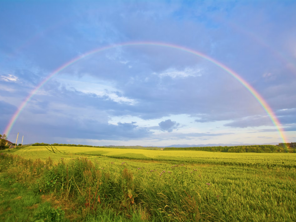 Rainbow photo